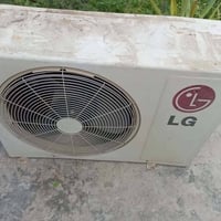 سبلت • عاطل
