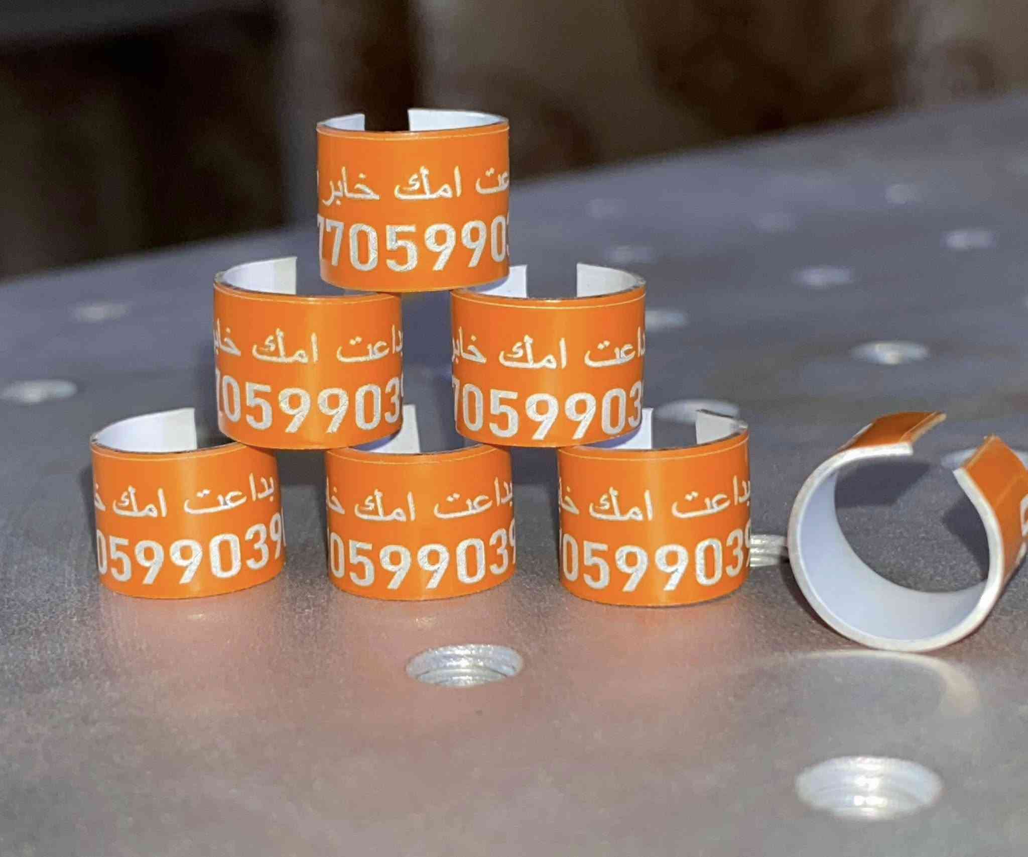 حجول حمام للطيور  الكبار 
كل القياسات 
50  حجل 8 الف   
 100 حجل 13 الف  
((((( التوصيل مجاني )))))
للحجز خاص واتساب  ***********
