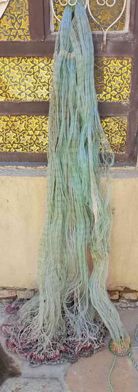 سليه • طول ٣م • حبل ١١م