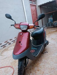 ماطور • بوتين • جديد