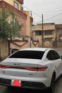 سئل فايف • ٢٠٢٥ • رقم نينوى