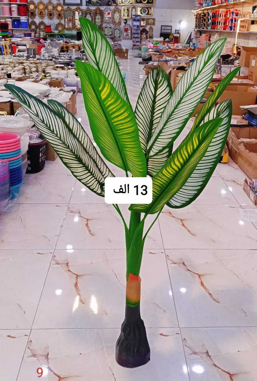 #ادوات منزاليه درجة اولى،🧿
#بأنسب الاسعار 🧿
🎁🎉🍹🫖🧋🍿🥮🥗
توصيل مركز محافظة ذي قار
الفين  دينار 🚗🚗
اطراف الناصرية٣ الاف
أقضية ونواحي 4 الاف 
توصيل محافظات 5الاف
🚗🚗رابط الإنستا 👎
https://instagram.com/a1__a883?igshid=NGExMmI2YTkyZg==


**إذا كنت صاحب هذا الإعلان وتريد حذفه لأي سبب، رجاءا أرسل رسالة إلى الدعم الفني**