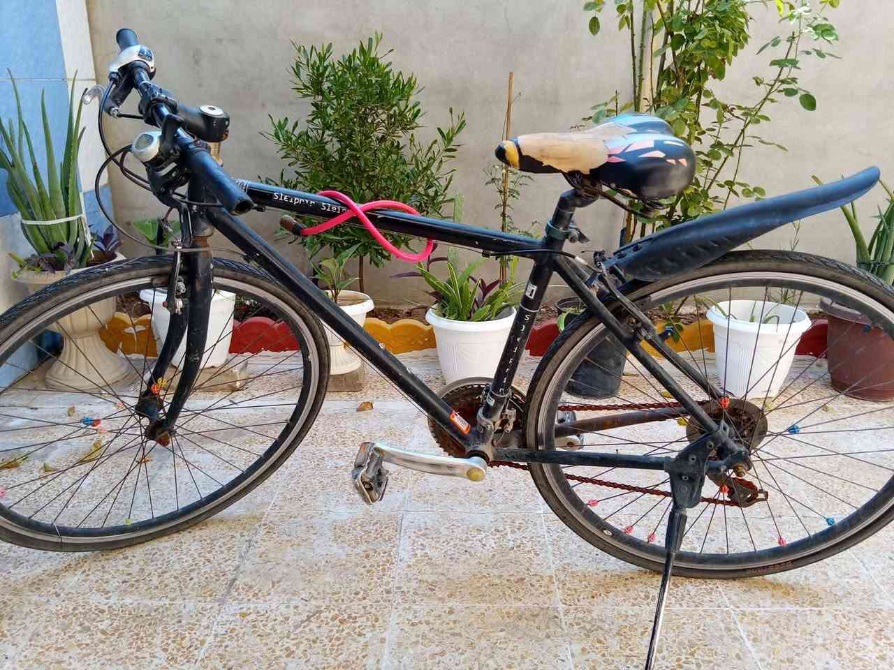 بايسكل للبيع حجم 26 بريكات شغال وكير شغال (الموصل ايسر)


**إذا كنت صاحب هذا الإعلان وتريد حذفه لأي سبب، رجاءا أرسل رسالة إلى الدعم الفني**