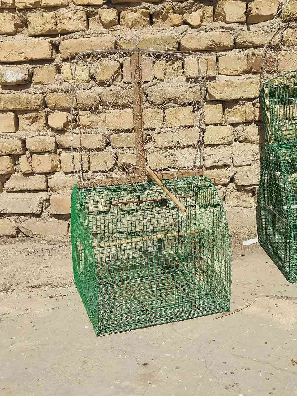 اقفاص بلابل للبيع السعر خاص


**إذا كنت صاحب هذا الإعلان وتريد حذفه لأي سبب، رجاءا أرسل رسالة إلى الدعم الفني**