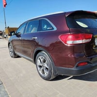 خليجي • ٢٠١٧ • ٧ راكب