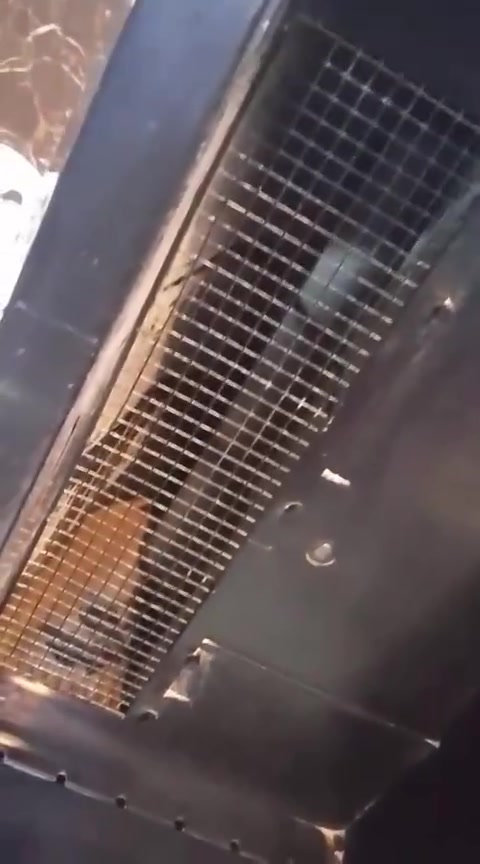 كونفيره للبيع حي نصر


**إذا كنت صاحب هذا الإعلان وتريد حذفه لأي سبب، رجاءا أرسل رسالة إلى الدعم الفني**