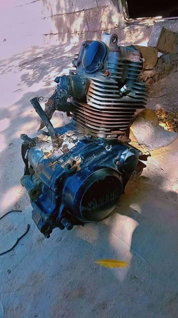 سلام عليكم
مكينه قفاز يوماها للبيع 
حجم 125cc
شغاله اي استفسار خاص


**إذا كنت صاحب هذا الإعلان وتريد حذفه لأي سبب، رجاءا أرسل رسالة إلى الدعم الفني**