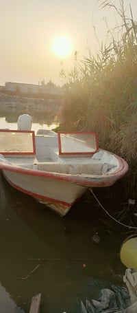 زورق • ٧٫٥م • كرمه علي