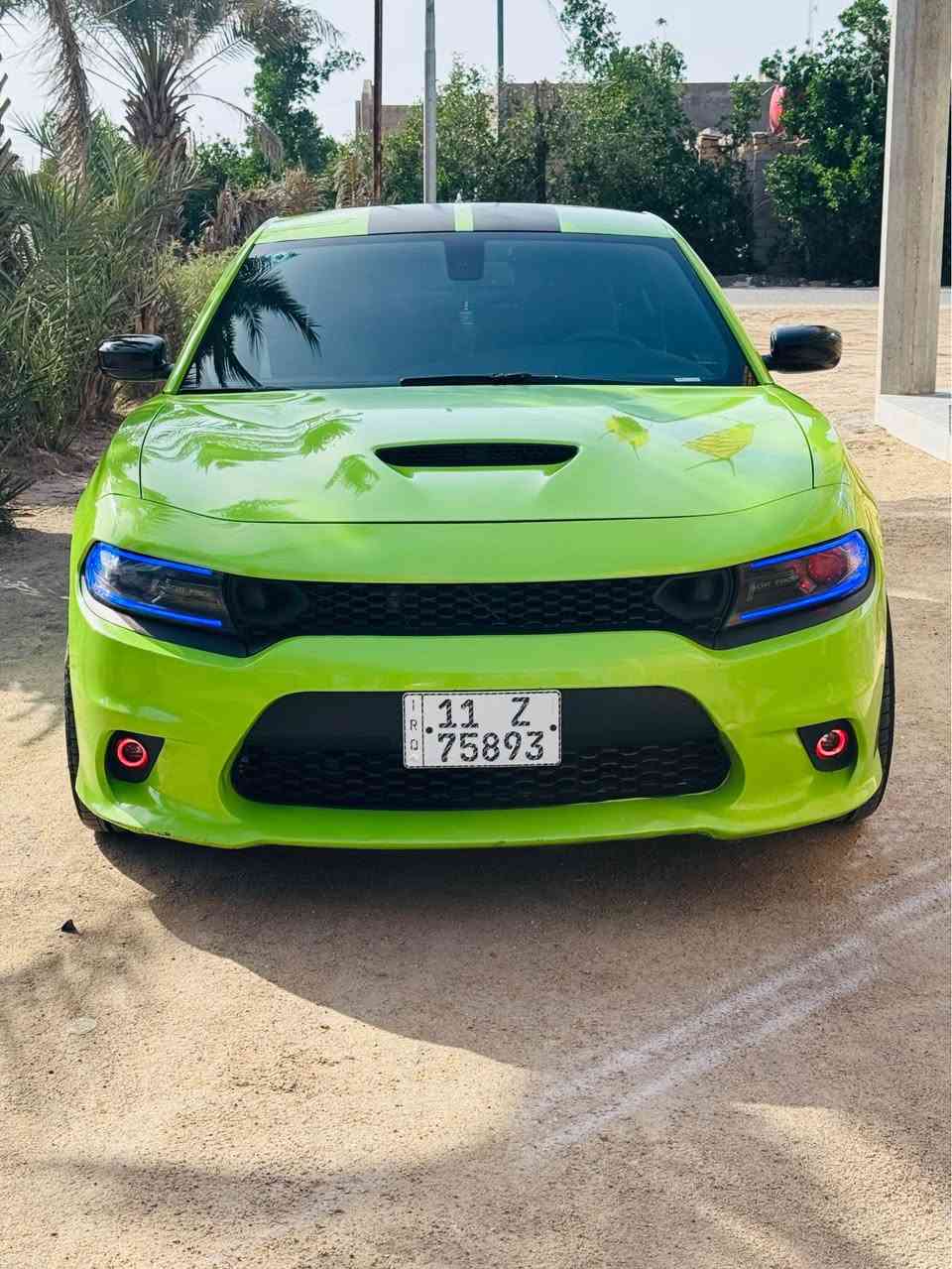 جارجر 2019 فائة RT  دخول جديد ةتاب ضباط رقم بغداد بسمي لون مميز تفاحي  جاهزه معوزها شي مكان ذي قار ناصرية, ذي قار


**إذا كنت صاحب هذا الإعلان وتريد حذفه لأي سبب، رجاءا أرسل رسالة إلى الدعم الفني**