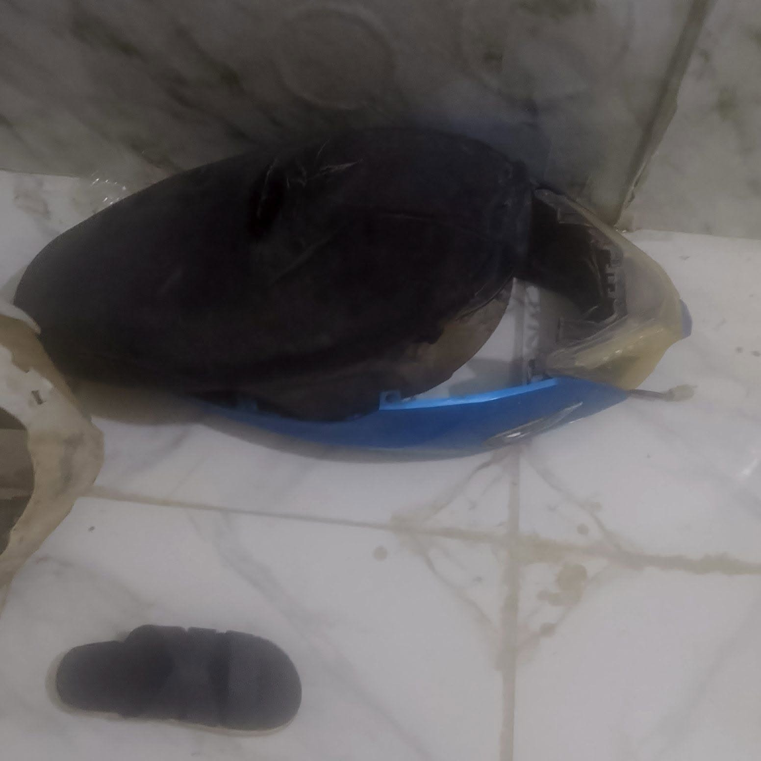 اغراض دراجه اف اس محرك وكاعيه سوده وتيرات كامل هوه ويل وجه امامي وظفيره وستان عادي وستان كهربائي وسلف قبق مال هندر للبيع مكاني الشعله ***********
