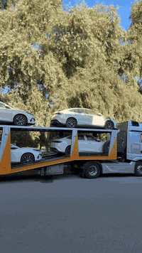 متابعين معرض محمد شمس ☀️ وهاي لعيونكم  يدللون علينه متابعين معرض محمد ...