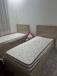 ڕانیە • سرير