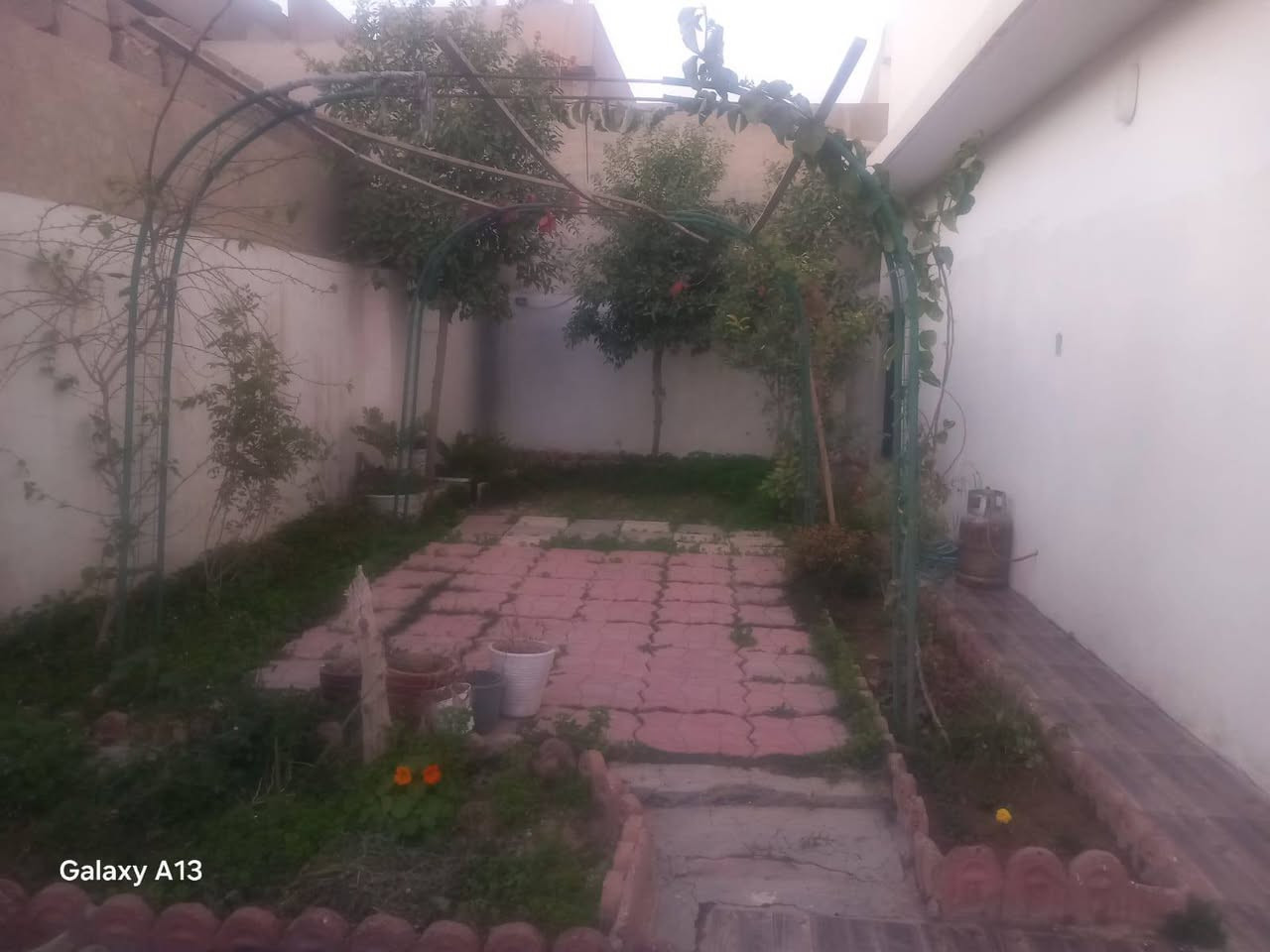 #دار للبيع:--#مساحة 240 م
#موقع:--بنجاعلي قرب مسبح بابا كركر 
............... 
فرع عشرون متر
#بناء نظيف
مساحة حديقة 80م 
................ 
محتويات 
 /غرفة نوم+مطبخ+هول +استقبال +صحيات 
كراج 
طابق ثاني نفس تصميم
.............................. 
سعر 75مليون مجال
.............................. 
للاستفسار اتصال عالرقم
 ***********
***********
راجع مكتب عقارات اسيا
عنوان مكتب سايدين قادسية
