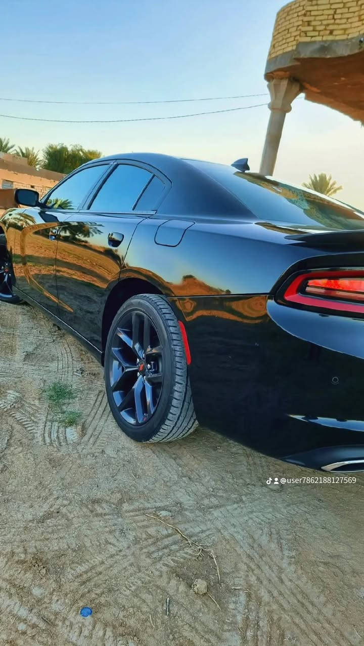 سلام عليكم دوج جارجر موديل 23,اصل منفيس بسمي ماشيه 30 مكفوله من دعاميه الدعاميه من قطر صبوغ بيه بس بنيد مبدل بلادي شرط محرك 3600  سنكل  ماتعد فلوس اله ماسوي سونار مكاني بابل حمزه الغربي وشراي يدلال ***********
