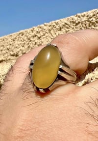 عقيق شرف الشمس • حوالي ٥٠ سنة • بركة ضريح الحسين