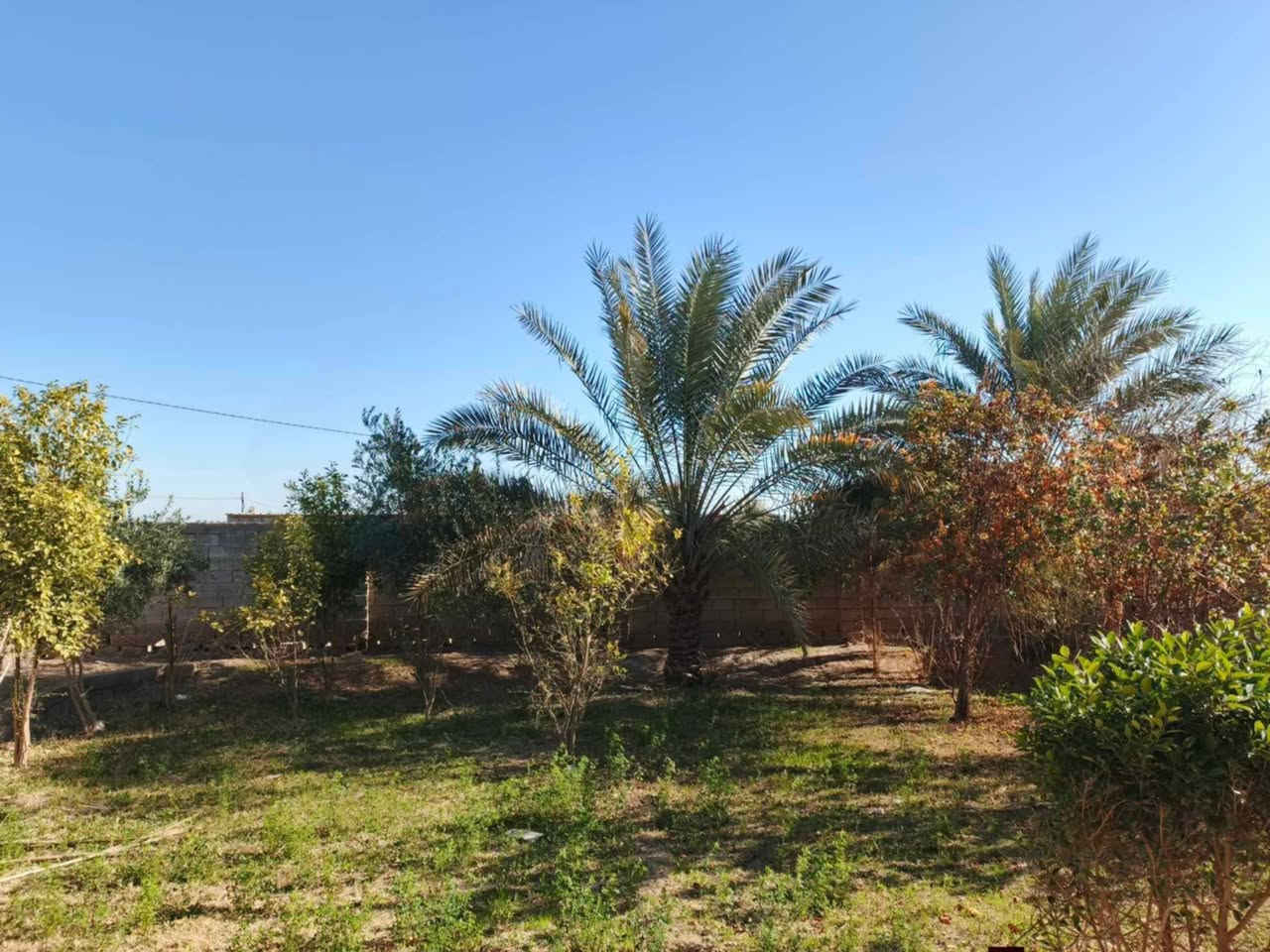 بسم الله خير الاسماء🫶🤍
#بيت #للبيع 
#موقعه الفلوجه شهابي مقاطعه 13 بالقرب من جامع الشهيد حامد عبد عباس 
#مساحة الأرض كلها 1000 متر 
#خدمات كلها كامله وكلشي قريب من البيت 
البيت كامل ونضيف وبناءه حديث يحتوي على غرفتين وصاله واستقبال وهول داخلي ومطبخين حار وبارد اي استفسار راسلوني 
ام علي للعقارت والترويج 🫶🤍🕊️


**إذا كنت صاحب هذا الإعلان وتريد حذفه لأي سبب، رجاءا أرسل رسالة إلى الدعم الفني**