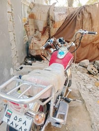 جونده مراوس • محرك جديد • بدون اوراق