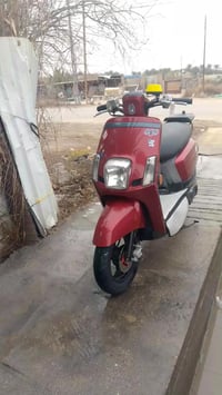 بوليس • موديل 13 • لمسيب