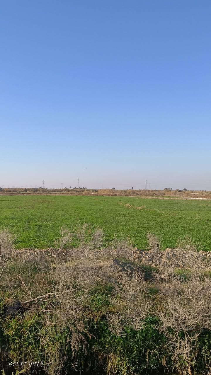 أرض زراعيه للبيع 
عقد. زراعي ٣٥ 
مساحه ٤دونم الموقع كوت طريق بغداد قرب مجمع البرهان السكني الارض صالحه لزراعه والسكن ويتوفر ماء +كهرباء 
للأستفسار اكثر الإتصال على الرقم  ***********
