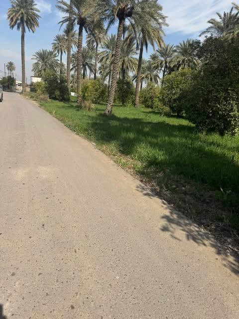 سلام عليكم 
٣٠٠٠ الف متر للبيع طابو اسهم على شارع العام التبليط 
الواجهه ١٩ م 
العنوان نهايه شارع السفينه خلف مدرسة الواثق للاستفسار تصل ***********
