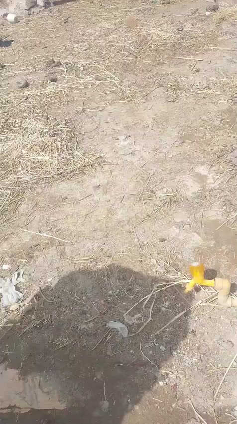 سلام عليكم بيت اليجار مكان شطره قرب محطته السرور عله شط بيت متكون من غرفتين وصاله ومطبخ ودونيه ومخزن ومحصار ساحه اليجار والمراوس رقم ***********
