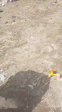 الشطرة محطة السرور • غرفتين • مخزن