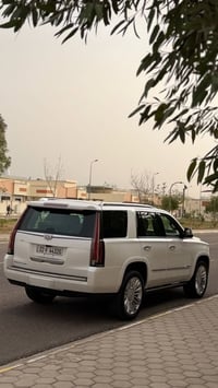 اسكاليد • بلاتينيوم VIP • ٢٠١٨