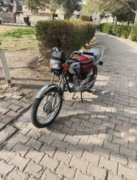 دراجة 2025 • أوراق • الحر