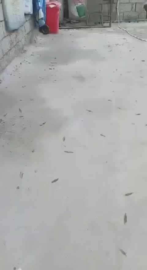 لبيع بيوت تجاوز مكان الشعب يم تقاطع عدن بدايه سوك شلال مجمع سكني الفرقه الحزبيه القديمه


**إذا كنت صاحب هذا الإعلان وتريد حذفه لأي سبب، رجاءا أرسل رسالة إلى الدعم الفني**