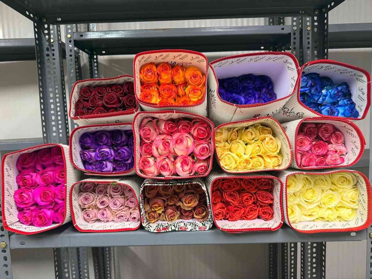 السلام عليكم من رخصة مدير الكروب زهور البنفسج تقدم لكم أفظل انواع الورد بكادر متخصص لتلبيه طلباتكم بأجمل الباقات وألهدايا ماعليكم بس تطلبون والباقي علينه للحجز والاستفسار مراسله الصفحه او الاتصال على الأرقام التاليه ***********او*********** العنوان شارع المغرب مقابل الجوازات مجاور مجمع البندول
