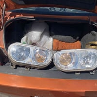 لايت • جالنجر • ١١-١٤