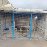 أرض • واجهة ٣م • طول ٦٠م