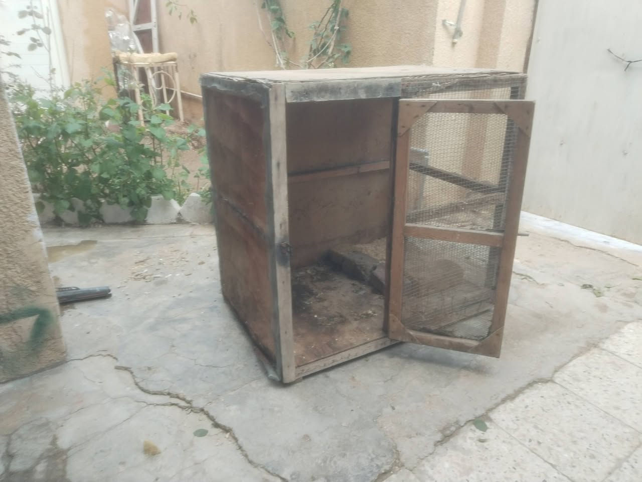 السعر 10


**إذا كنت صاحب هذا الإعلان وتريد حذفه لأي سبب، رجاءا أرسل رسالة إلى الدعم الفني**