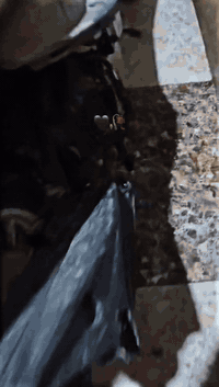 سلام عليكم ماكس قجمه للبيع دراجه شلعه تشك الكاع والمعدل معدل طيار دراجه نص هندر دراجه مفتوحه امبوشه 55 فقط دراجه شغاله هندر وسلف ماشده نتا شده مال دراجتي القديمه شرط شغال وياه شخاطه دراجه كفرات موجودات دراجه سوادات مختمات ملح دراجه كزوز رياضي رايدها اب 450 بيه مجال قليل أو مراوس بماكس كفرات كامله عنواني البصره الكزيزة رقمي للتواصل *********** عبر الواتساب
