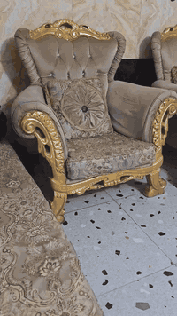 تخم تاج • ١٠مقاعد • زان مصري