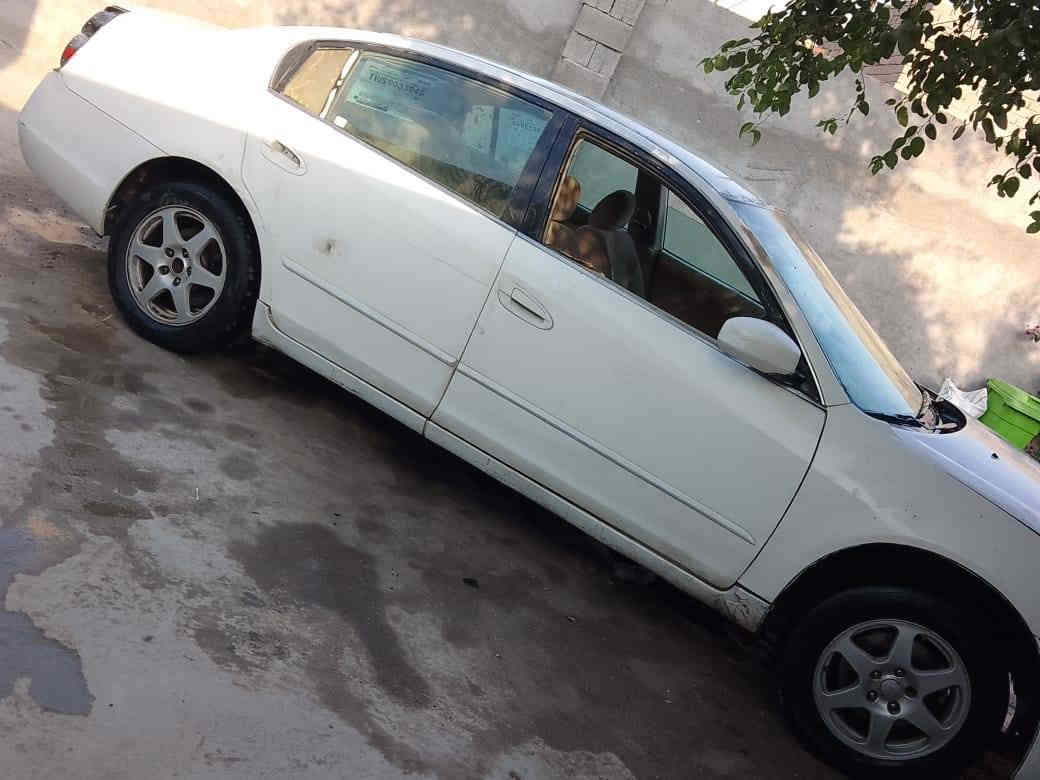 سلام عليكم سياره نيسان التيما الموديل 2005رقم بابل راكيه بابل سياره بل بصره مكينه وكير شرد كورله ابو جف دايرات وحداده جدد نسويه ضايعه وبيه واجه بيع تكفل قرامات سعر 25وبيه مجال امراوس راوس مكاني البصره القرنه بني منصور ***********
