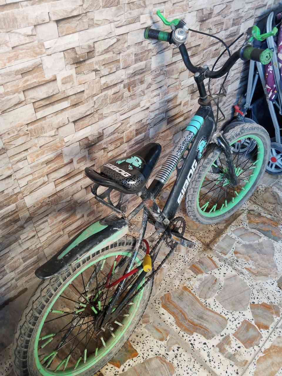 للبيع كلمن وسعرها مكان الشعله


**إذا كنت صاحب هذا الإعلان وتريد حذفه لأي سبب، رجاءا أرسل رسالة إلى الدعم الفني**