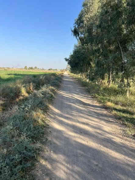 ليش لازم تشتري عقار بمنطقة الشيخ عامر يم  مرقد بنات الحسن وذراع دجله  💵

🥇اول ميزه بيها عليه اكثر من مدخل🛣 
(من جسر سبع البور ومن جسر الرعود ومن سريع التاجي سامراء )🏗🏡

🥈ثاني ميزه والي هي مهمه  كلش (لضمان حق المشتري ما تدفع فلوسك لحد ما تفتح  بيان بالتسجيل العقاري  سند 25/ملك صرف)

على الشارع التبليط🚦
متوفر ماء وكهرباء وخدمات كامله🛣

تريد تسويها مزرعة فلة او استثمار 💰(واجهة الدونم الواحد 50 متر مربع )

الأسعار تبدأ من ١٠ مليون وتوصل  75 سعر الدونم الواحد حسب الموقع  
للاستفسار اكثر اتصل ***********
