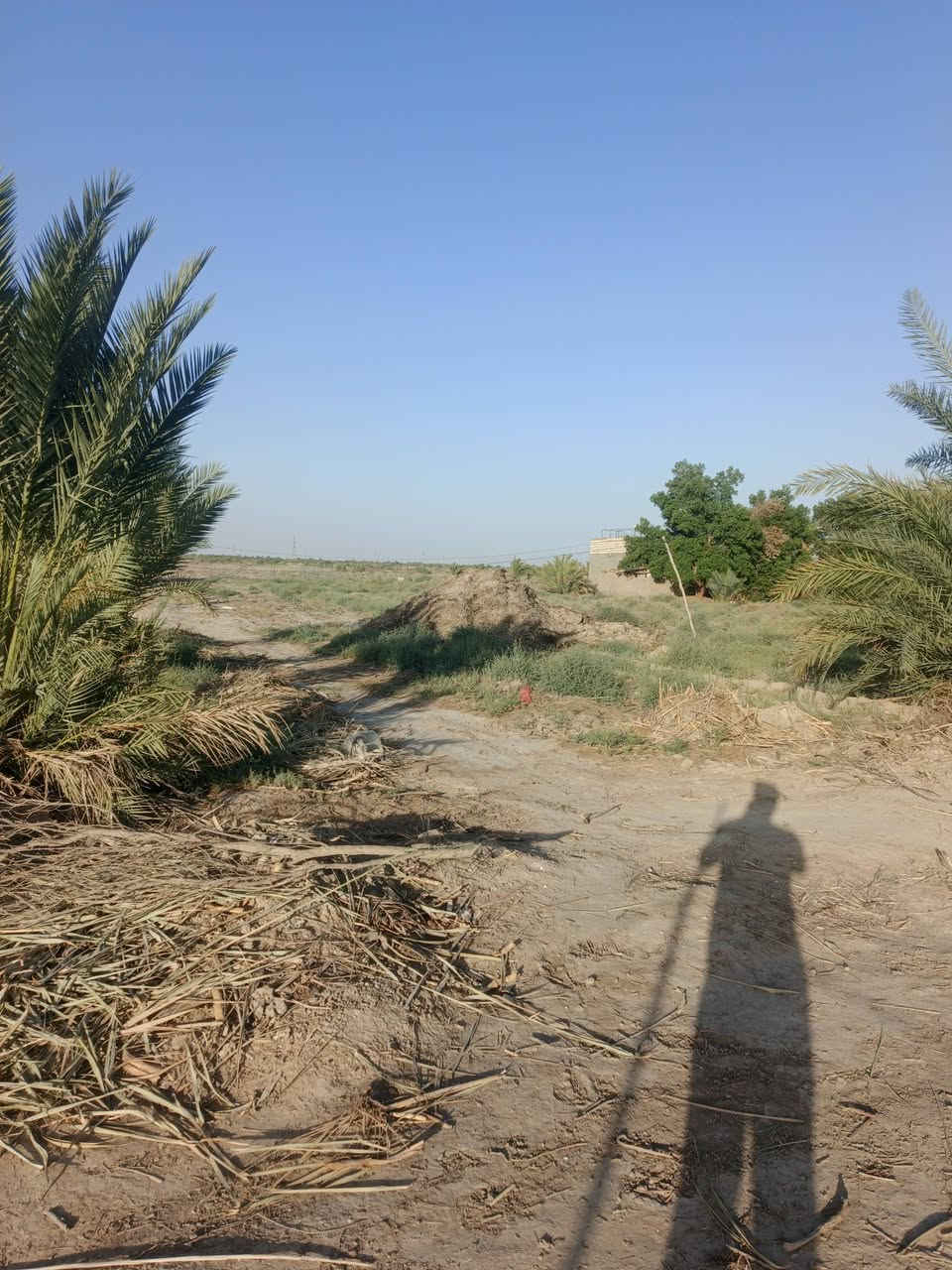 يالله سلام عليكم  دونم للبيع على طريق لحلو مساحته دونم  لواجه 20 ونزال 125 مثل ما واضح بل فديوو سعرا اتصال على الارقام او مراسلة صفحه  
*********** ////***********
