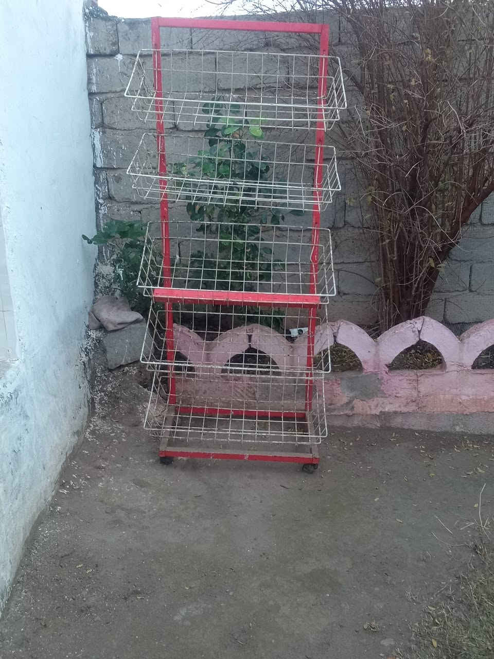 عارضه جبس للبيع السعر 30الف ***********
