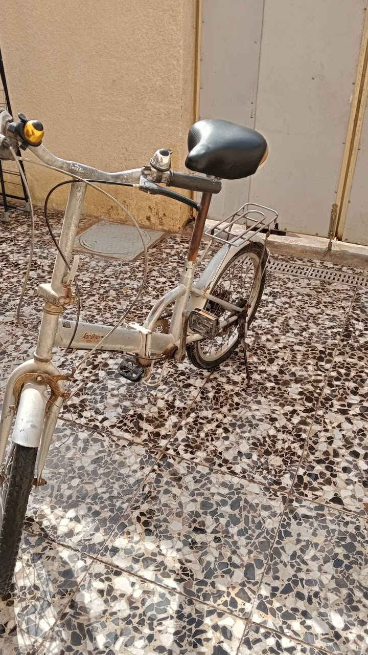 بايسكل البيع ياباني يطبك حجم 16 السعر 70 بغداد الشعب


**إذا كنت صاحب هذا الإعلان وتريد حذفه لأي سبب، رجاءا أرسل رسالة إلى الدعم الفني**