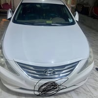 زوج لايتات امامي • البصرة القرنة