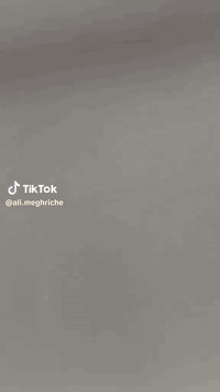 صبغ • درجة اولى • ابو ياسين