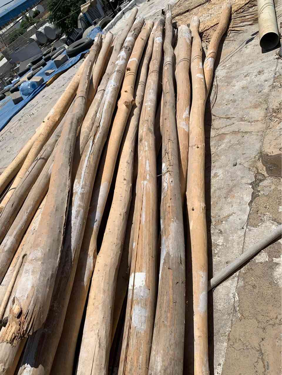 دار بو فروشتن  قياسي ٤مه ترو نيو وه كو تازه وايه هه موي ريكو جوان تقريبه ن ٥٩ دار ده بيت له گه ل ١٠ حه سيرو دوو ئنگلاين بو سعري ته له فون بو خاوه نه كه ي بكه ن ئه مه ش  ره قه مي *********** السليمانية, العراق
