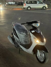 ماكس منغولي • اسود • الديوانية مركز