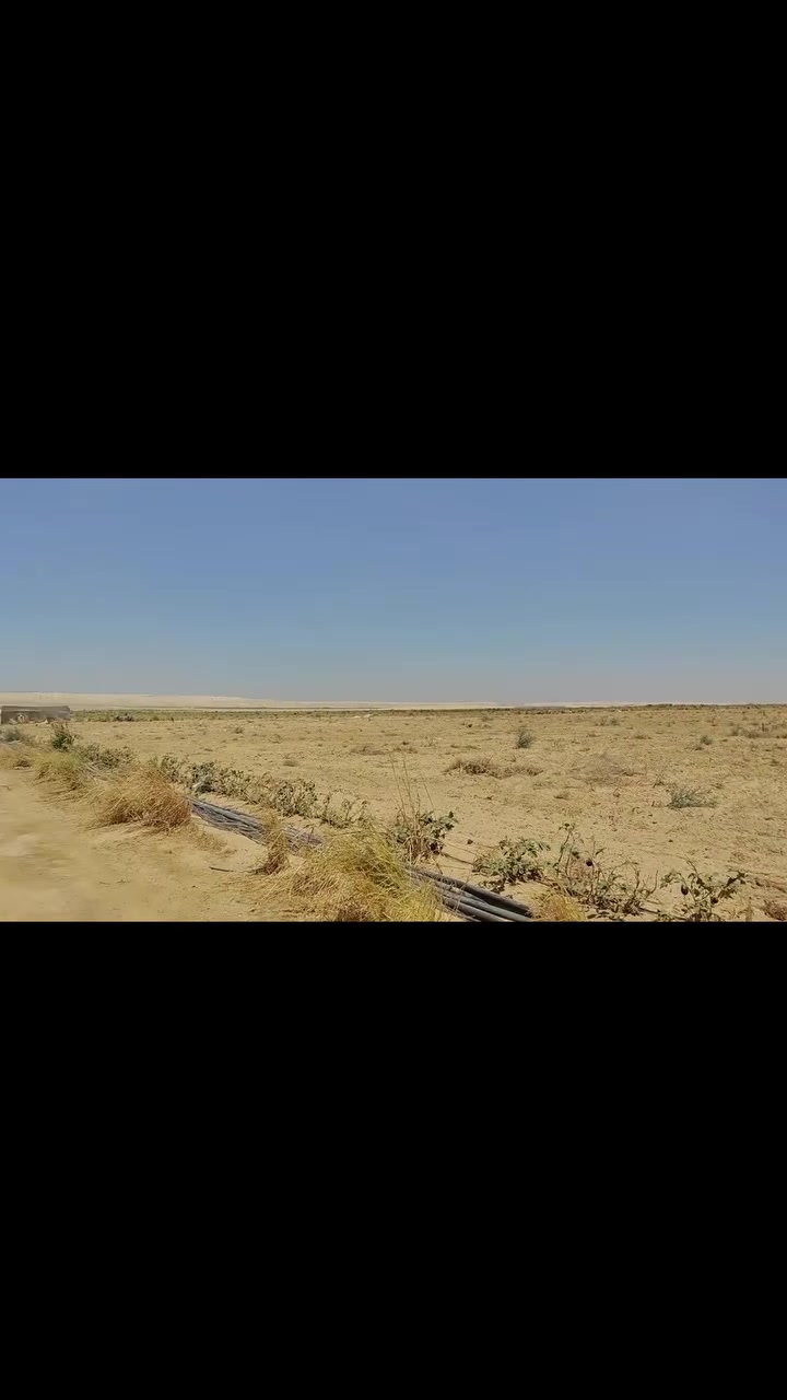 بسم الله الرحمن الرحيم 
يوجد لدينا مساحه 80 فدان 
#المنيا
#بني مزار
#الوحاتــ 🌹الكوثر🌹
🧭🚗ع بعد 6 كيلو
💧الارض فيها بيرين 💧 غاطس 80
💡فيها محول 300
🌳الارض كلها فيها شبكه 
📝 مفتوح لها ملف (محافظه)
🏡فيها استراحه
للتواصل 01102720656📞


**إذا كنت صاحب هذا الإعلان وتريد حذفه لأي سبب، رجاءا أرسل رسالة إلى الدعم الفني**
