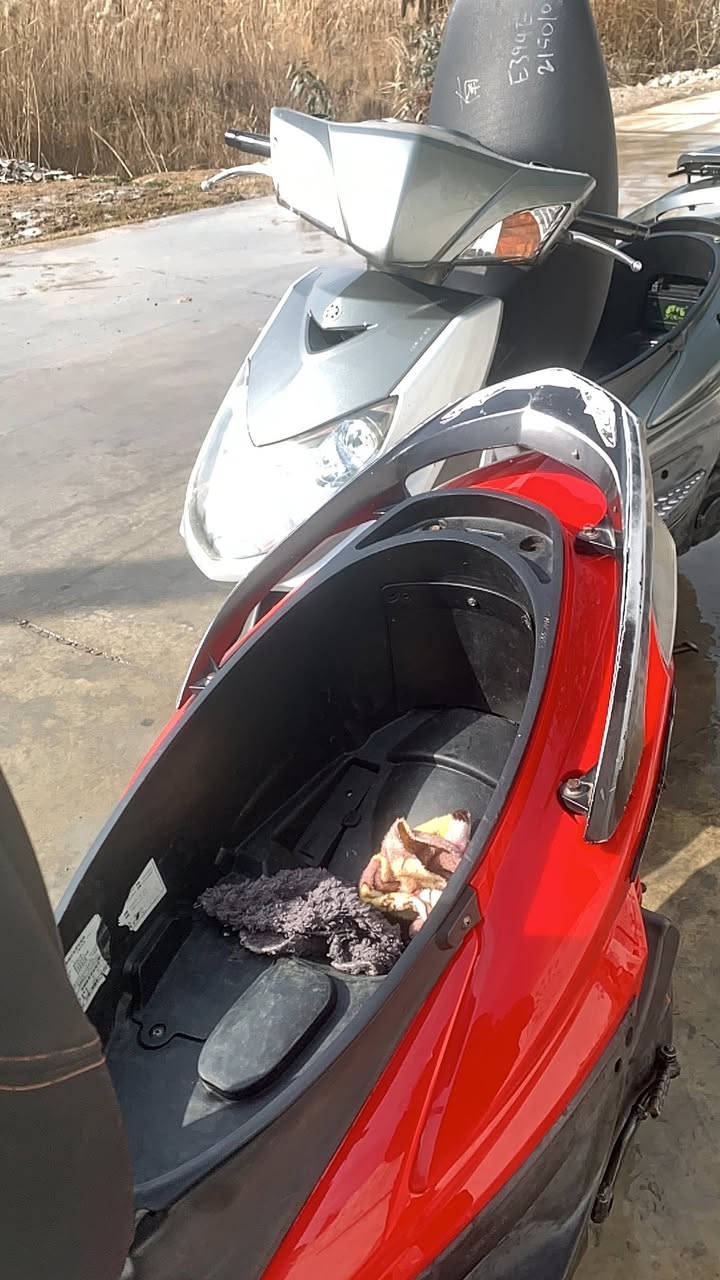 قطعتين سكـنز فحـل للبيع فقط بدون مراوس 📍
الحمـرة نـوزل خطين كفـاله عامه 🫣
والرصـاصيـه كابريتر كفـاله وفوك الكفاله هم🙂‍↕️
دراجـات نضـيفات جداً جـداً
كاملات مـن كل النواحي هندر وسـلف اي وقـت 
والنـضافه واضحـه بل صور 
الدراجـات خـتم واحد إذا بيهـا حرف او رقم مختلف تأخذها وتطـلع 🙃👌🏻.
المـوقع ديالى بعـقوبة 📍
للاستفسار ***********
موجود رصـيد او واتس اب 
ماسنجـر ما ارد 👍🏻.
