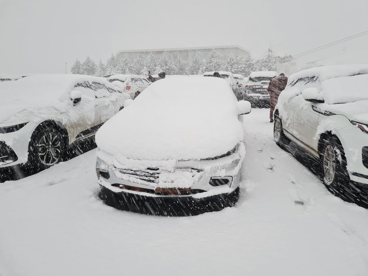 ماليبو موديل 2017 رقم اربيل وكاله او تحويل
محرك جديد قبل شهر شديته 
السياره جاهزة نواقص بسيطه بسيطة 
مكاني نجف 
السعر 95$ وبي مجال بسيط 
0770770580
***********
