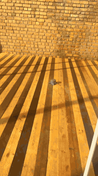 سلام عليكم نجار قالب وحداد جزع من عملي داخل الامين شارع المعلمين  متفرغ حالين شغلي قطعي وعل متر رقمي ***********
