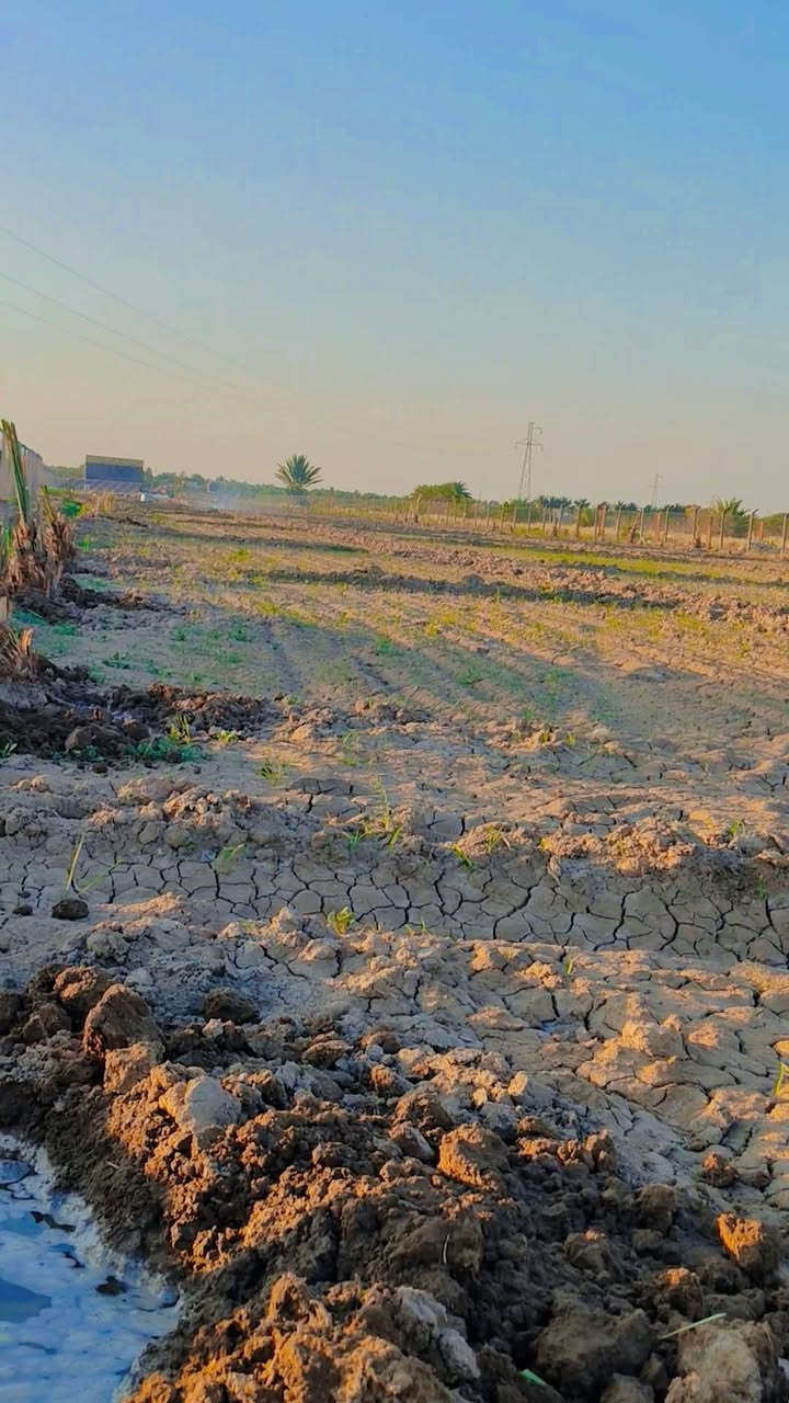 أرض زراعية بستان ملك صرف للبيع
المساحة ٦ دونم مسيجة بي آر سي وجاهزة تصلح مزرعة او مشروع استثماري 

#تحويل_مباشر_للمشتري

تحتوي على :

🛑 أكثر من ٢٥٠ فسيلة مختلفة الأصناف شتال جديد 

🛑 منظومة طاقة شمسية سعة ١٦ امبير ٨ الواح ٦٢٥واط

🛑 منظومة سقي  كاملة بئر ارتوازي عمق ٢٤ مع غاطس ٣ حصان وحوض خزن طول ١٥م *٦م 

🛑 غرفة ٧*٤ _مطبخ٥*٤ _ صحيات

جزء منها مزروعة حاليا شتلات سدر وخظراوات باميا وخيار وباذنجان.. 

بالقرب من الأرض متوفر  ماء اسالة وكهرباء وطنية وماء سقي

العنوان قضاء الهاشمية _قرب نزلة التياس جهة الإروائي

للإستفسار :

*********** 

***********

***********
